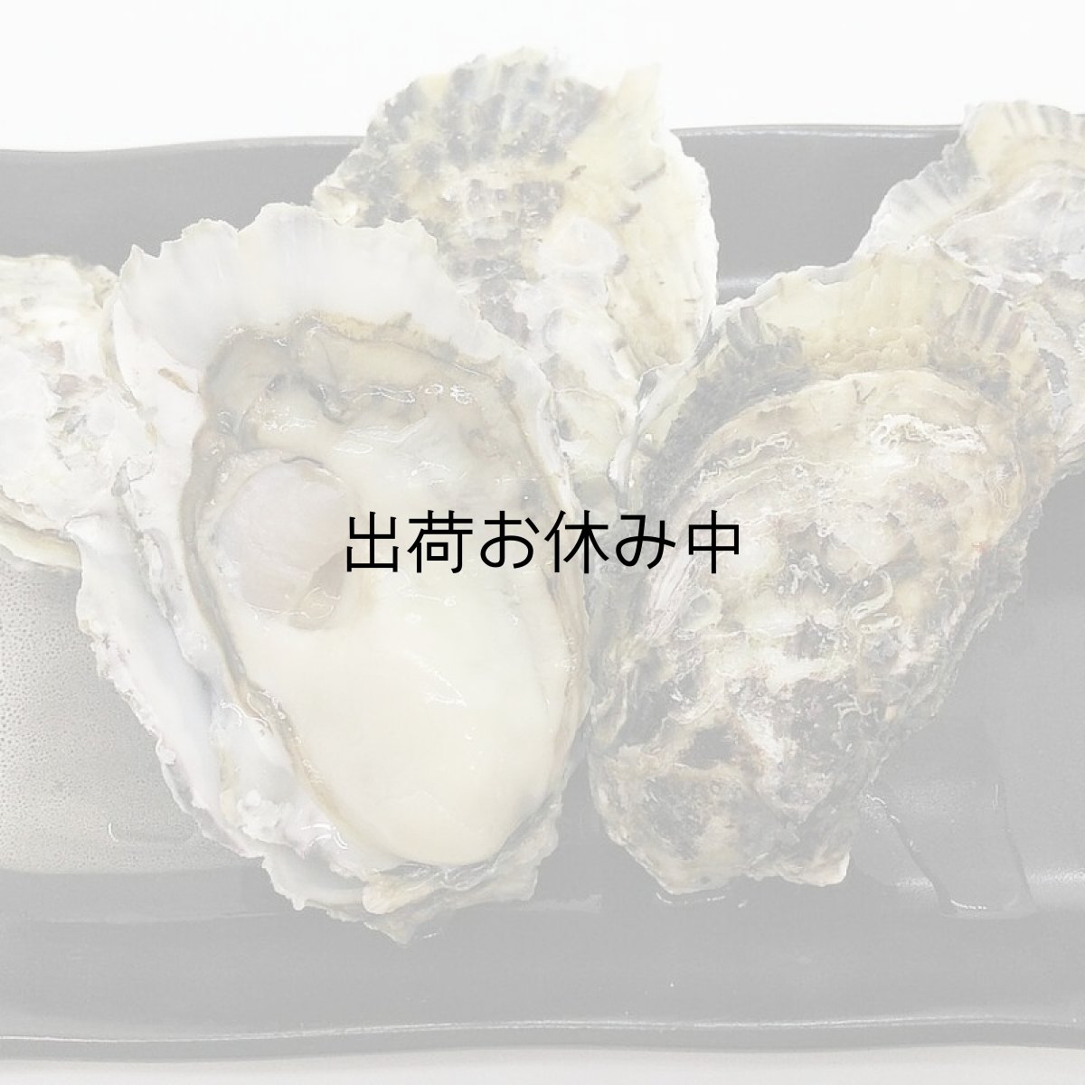 画像10: 福岡糸島産　みるく牡蠣 (10)