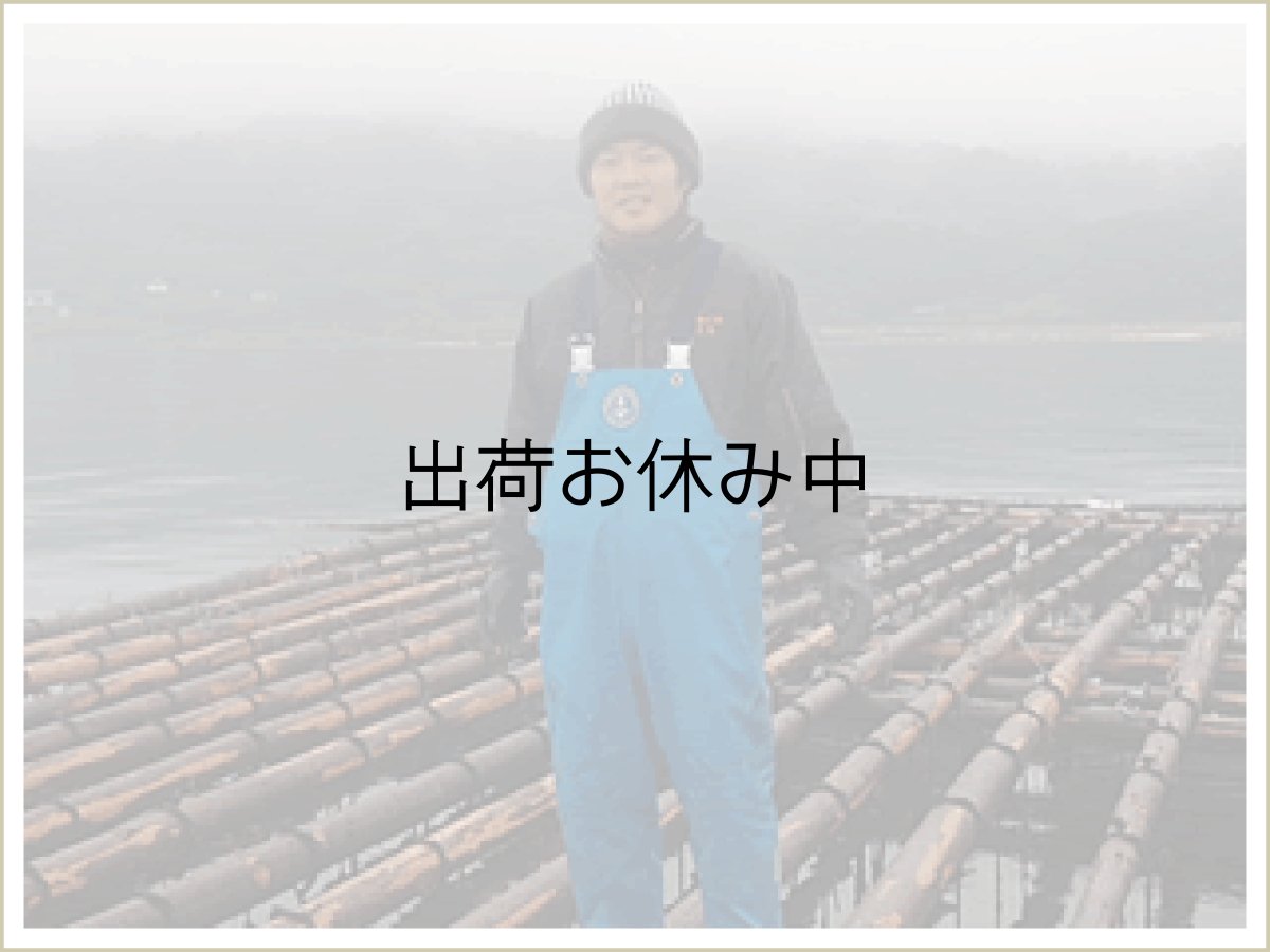 画像4: 福岡糸島産 岩牡蠣糸島サウンド (4)