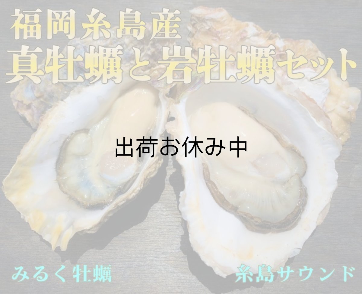 画像1: 福岡糸島産　真牡蠣と岩牡蠣のお得セット (1)