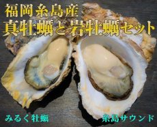 画像1: 福岡糸島産　真牡蠣と岩牡蠣のお得セット (1)