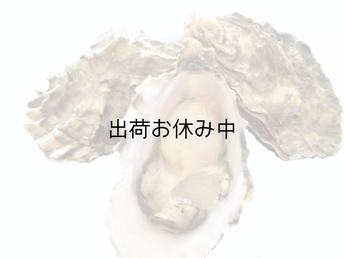 画像2: アメリカワシントン州産ピュージェットサウンド (2)