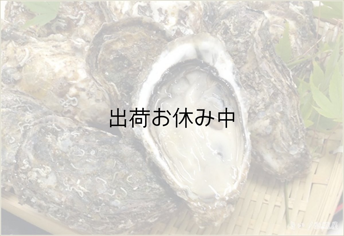 画像1: 広島地御前産　殻付牡蠣 (1)