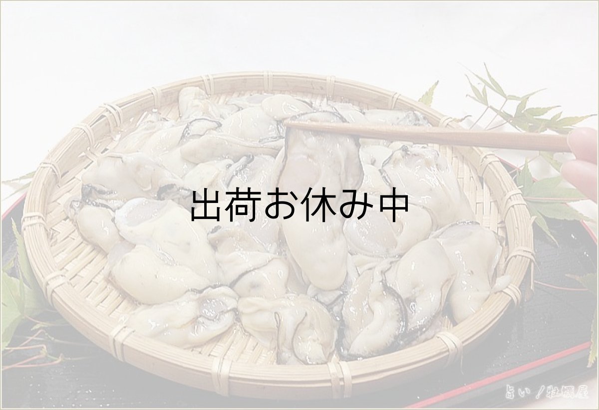 画像2: 広島地御前産　むき身牡蠣 (2)