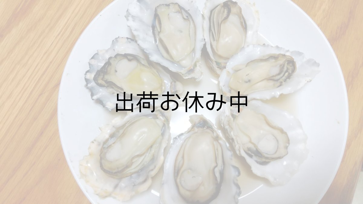 画像8: 熊本八代産　男気牡蠣 (8)