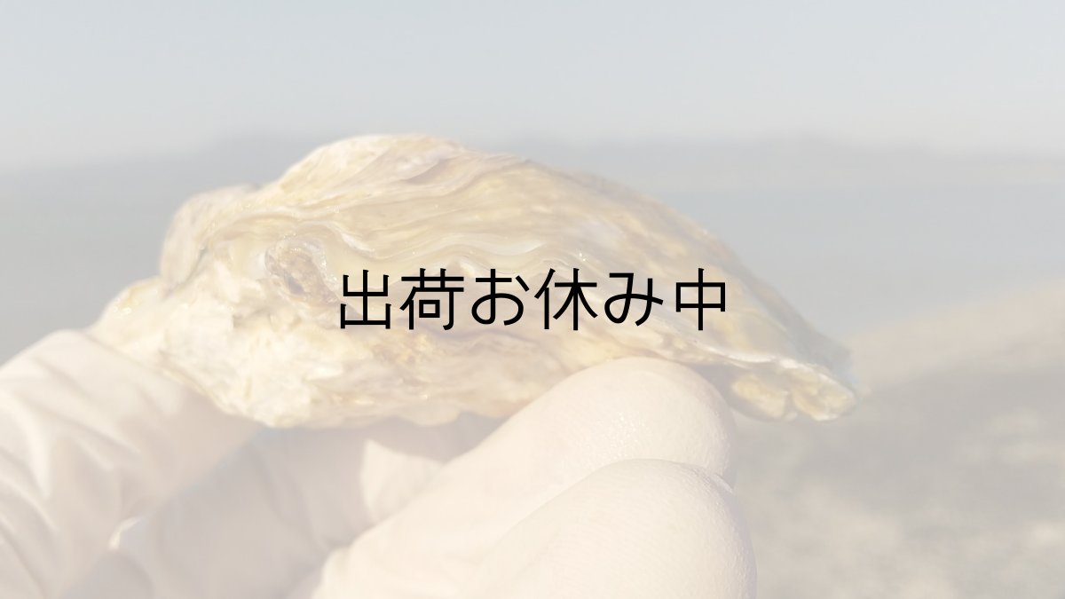 画像4: 熊本八代産　男気牡蠣 (4)