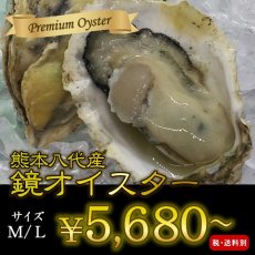 画像1: 【お急ぎ便】　熊本八代産　鏡オイスター（お届け地域限定） (1)