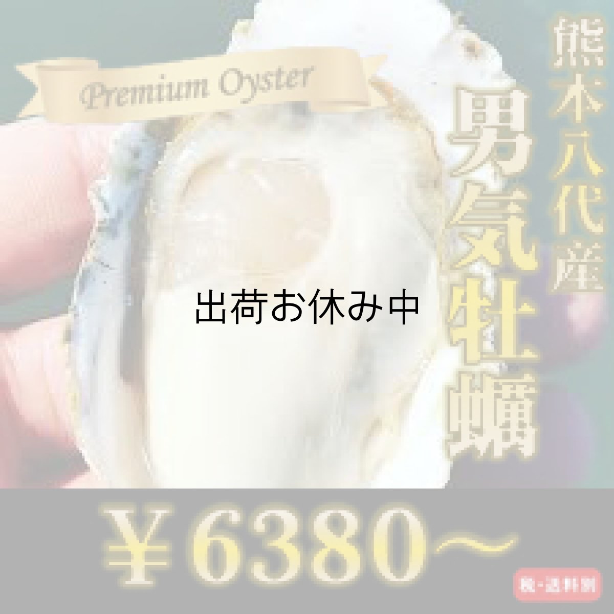 画像1: 熊本八代産　男気牡蠣 (1)