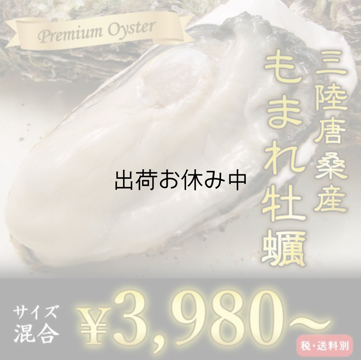 画像1: 【お急ぎ便】三陸唐桑産　もまれ牡蠣　（お届け地域限定） (1)