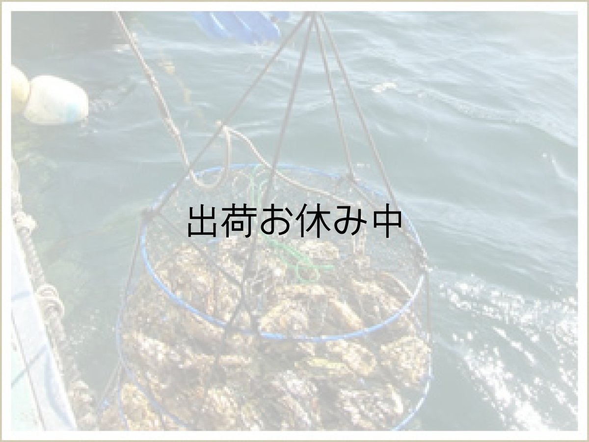 画像6: 三陸唐桑産　むき身牡蠣 (6)