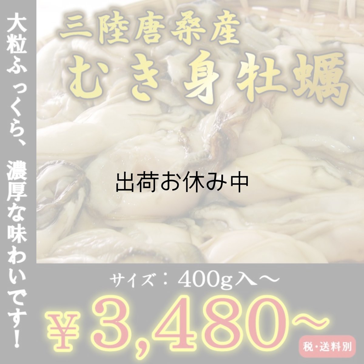 画像1: 三陸唐桑産　むき身牡蠣 (1)