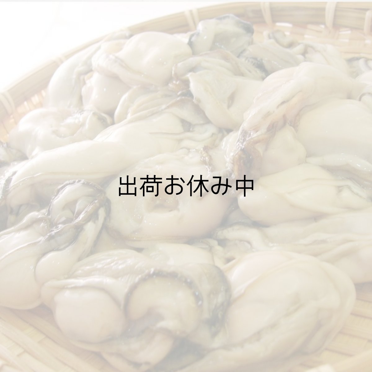 画像7: 三陸唐桑産　むき身牡蠣 (7)