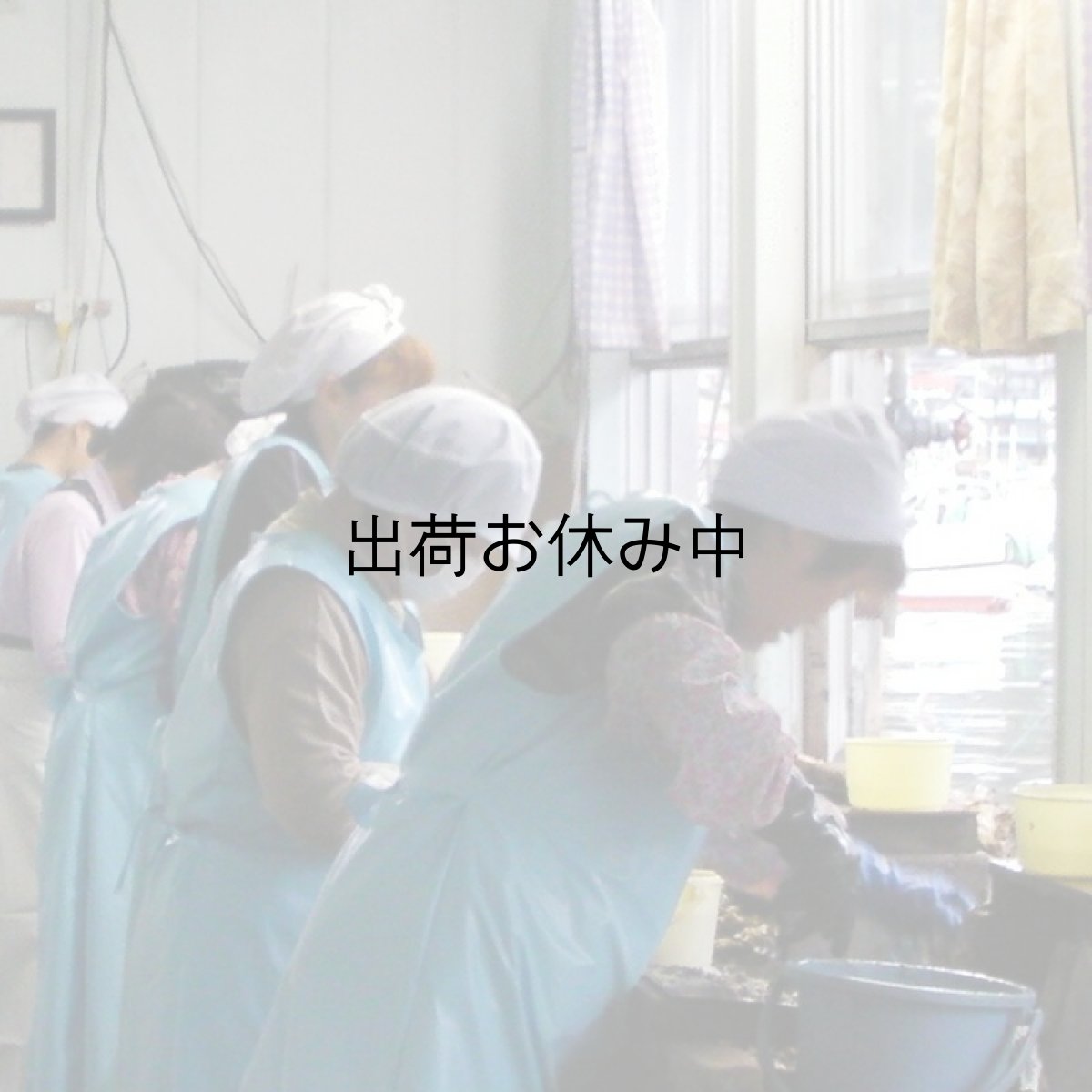 画像3: 三陸唐桑産　むき身牡蠣 (3)