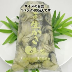 画像8: 三陸唐桑産　むき身牡蠣 (8)