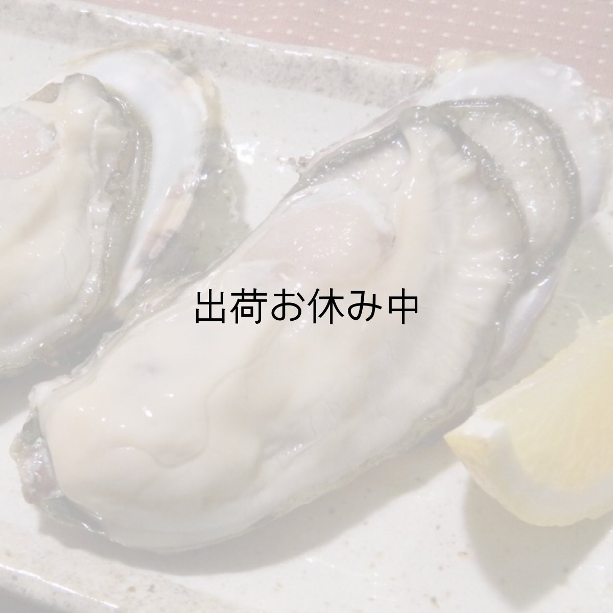 画像4: 福岡唐泊産　恵比須かき (4)