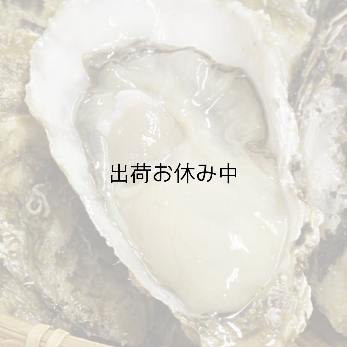 画像5: 福岡唐泊産　恵比須かき (5)