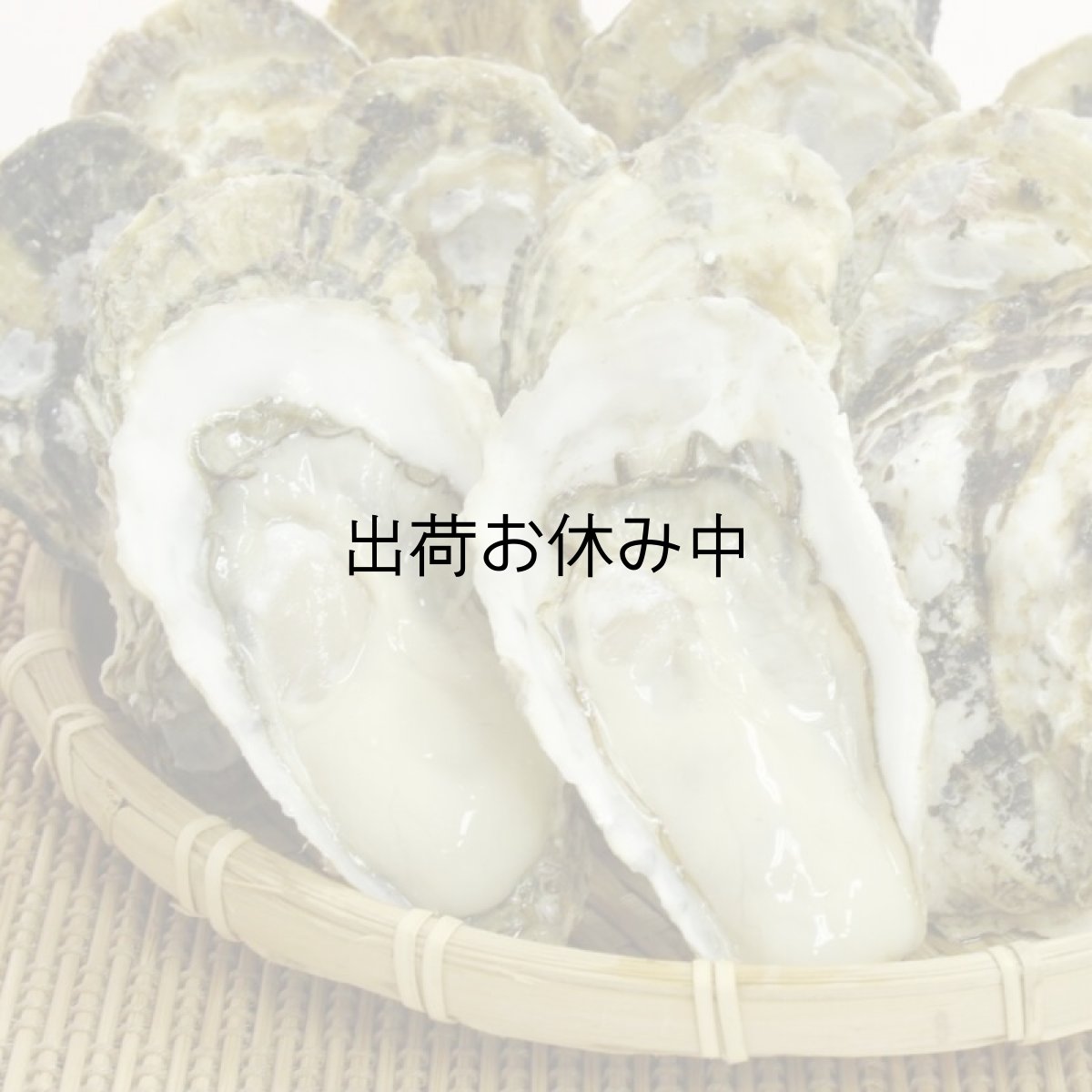 画像7: 福岡唐泊産　恵比須かき (7)