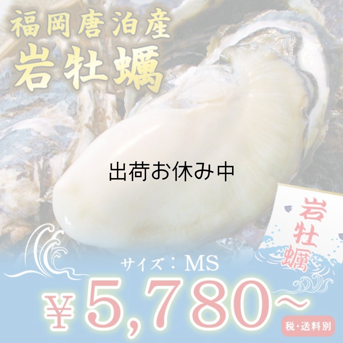 画像1: 福岡唐泊産　岩牡蠣 (1)