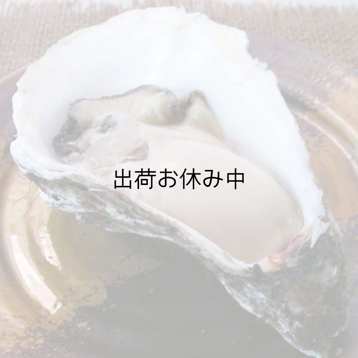 画像6: 福岡唐泊産　岩牡蠣 (6)