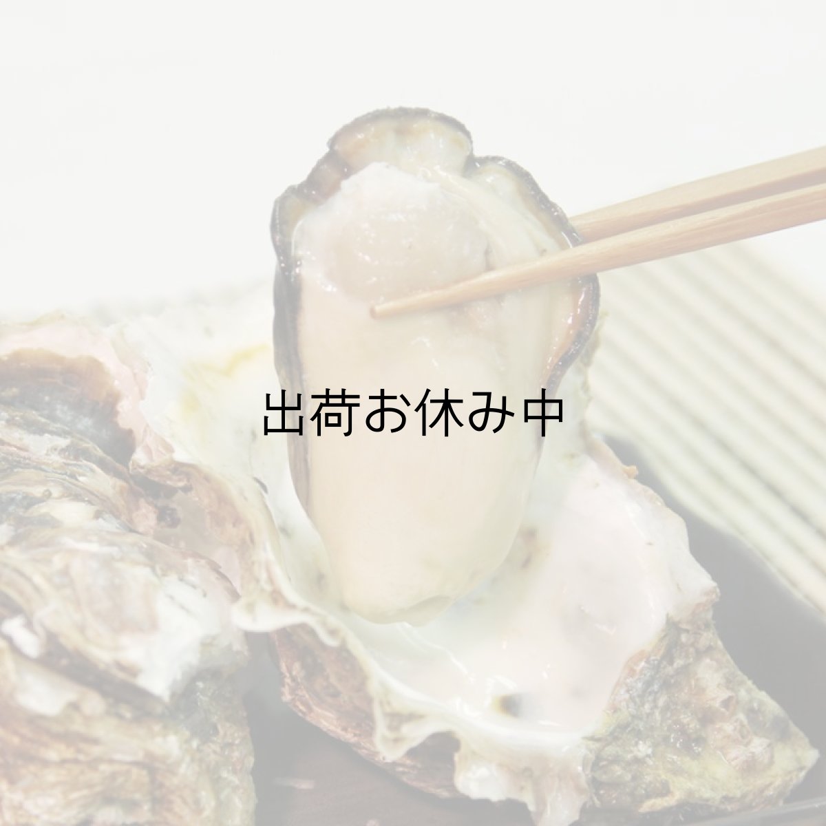 画像7: 福岡唐泊産　岩牡蠣 (7)