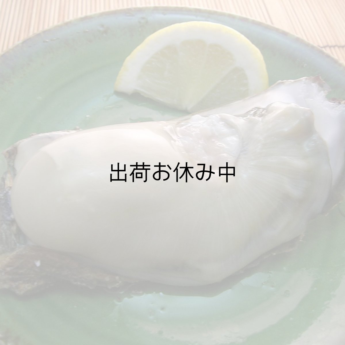 画像3: 秋田象潟産　天然岩牡蠣 (3)