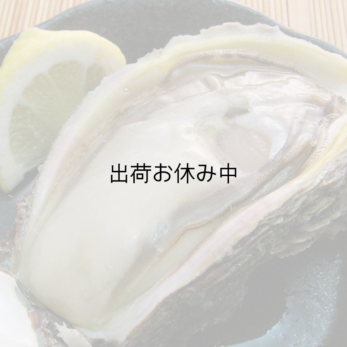 画像6: 秋田象潟産　天然岩牡蠣 (6)