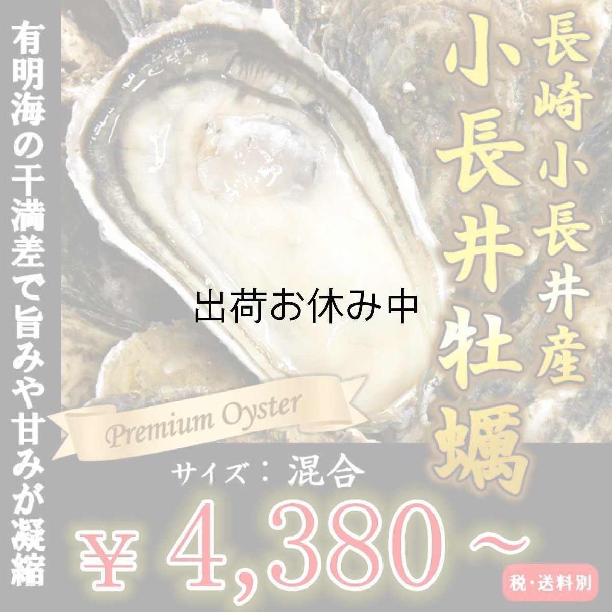 画像1: 長崎小長井産　殻付牡蠣 (1)