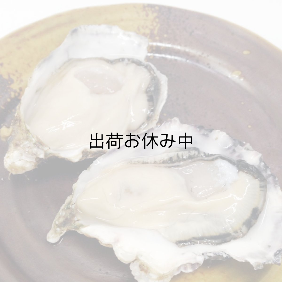 画像3: 長崎小長井産 殻付牡蠣 (3)