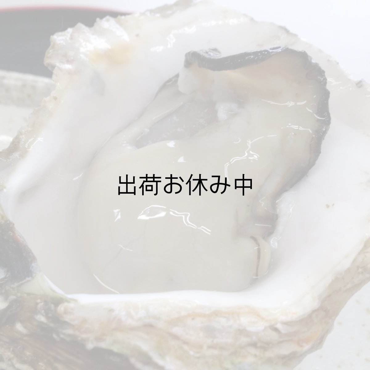 画像3: 大分国東産　岩牡蠣 (3)