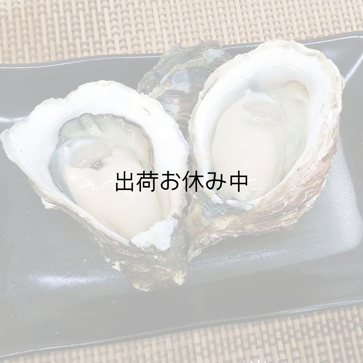 画像2: 大分国東産　岩牡蠣 (2)