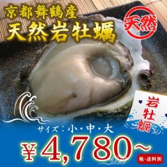 京都舞鶴産　天然岩牡蠣・育成岩牡蠣