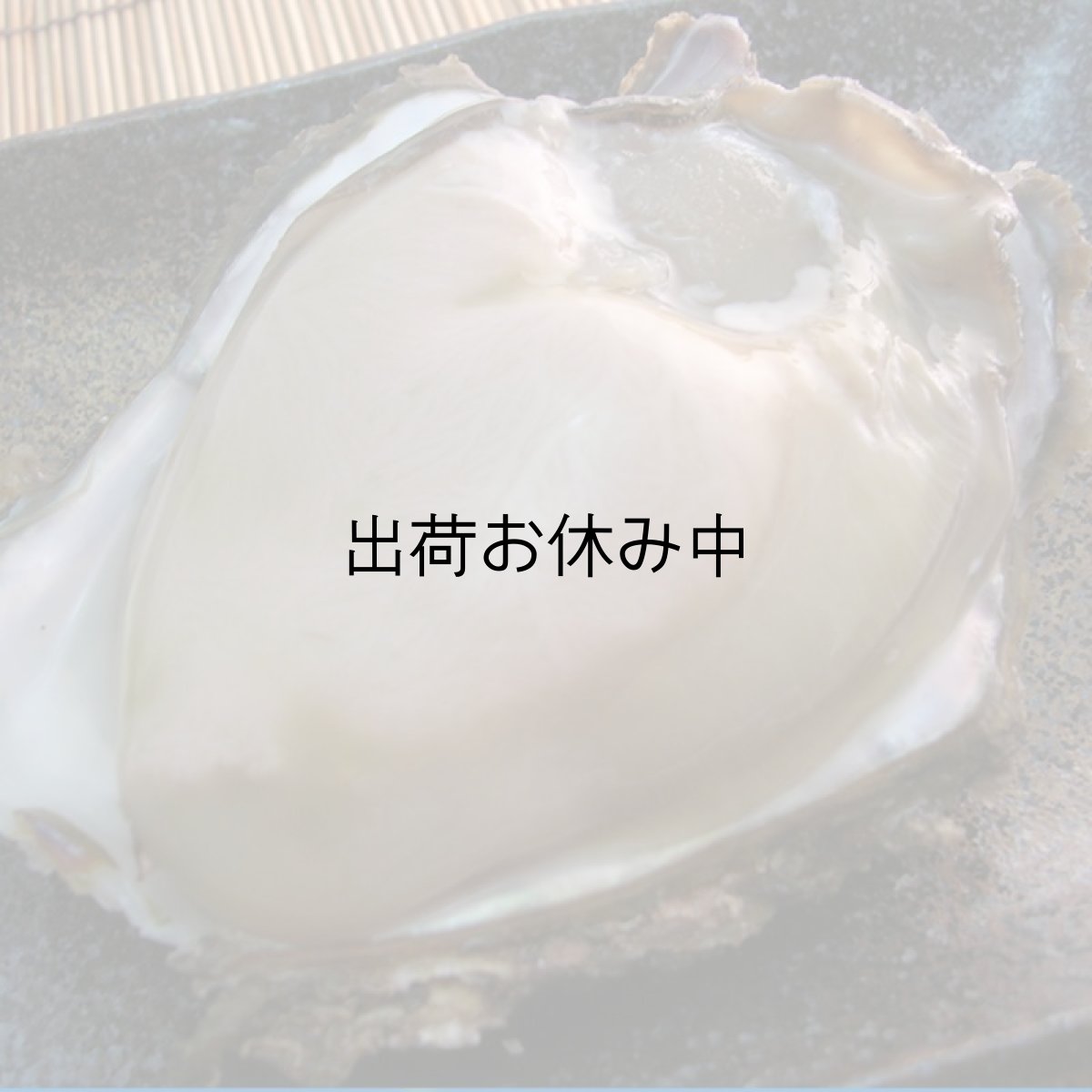 画像7: 京都舞鶴産　天然岩牡蠣・育成岩牡蠣 (7)