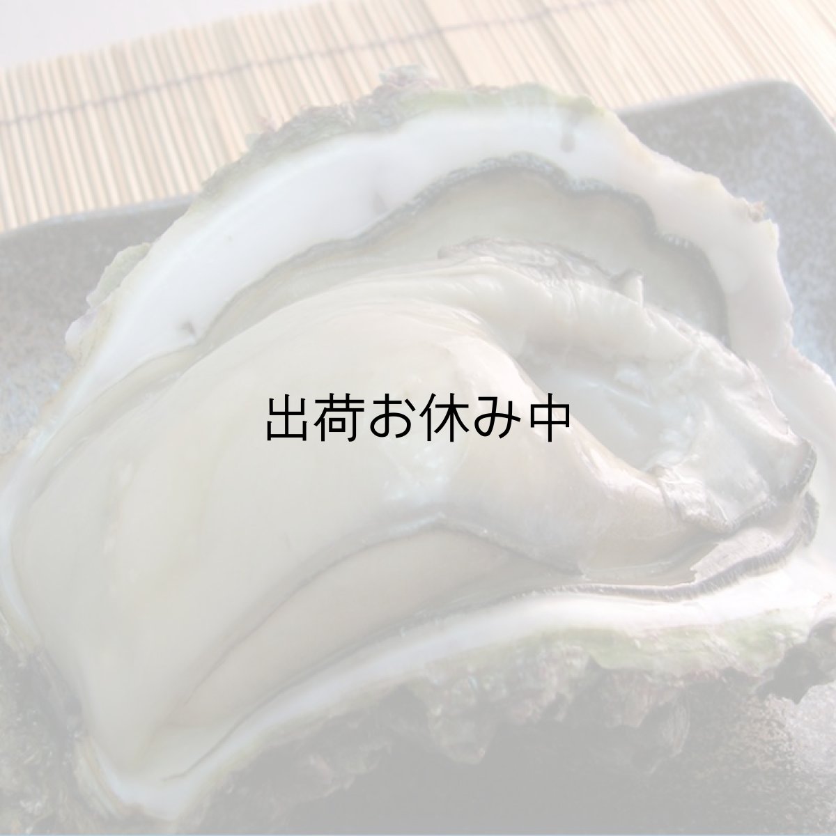 画像6: 京都舞鶴産　天然岩牡蠣・育成岩牡蠣 (6)