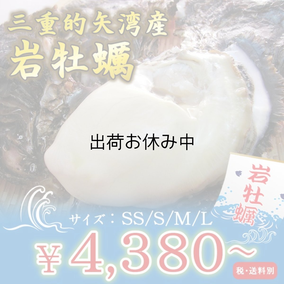 画像1: 三重的矢湾三ヶ所産　岩牡蠣 (1)