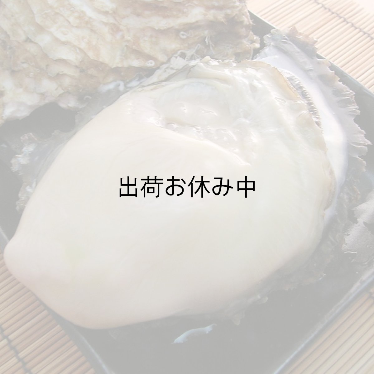 画像8: 三重的矢湾三ヶ所産　岩牡蠣 (8)