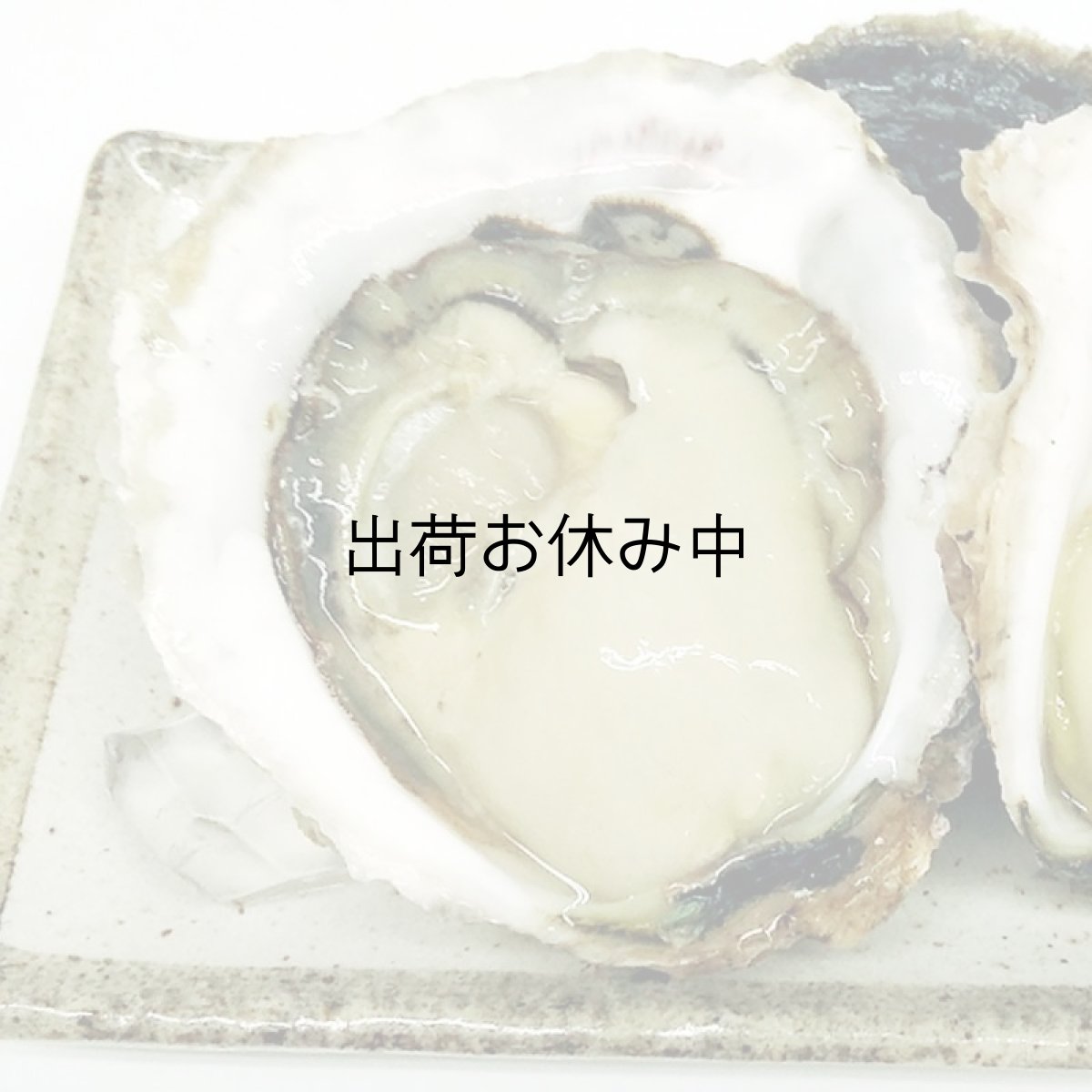 画像2: 三重的矢湾三ヶ所産　岩牡蠣 (2)