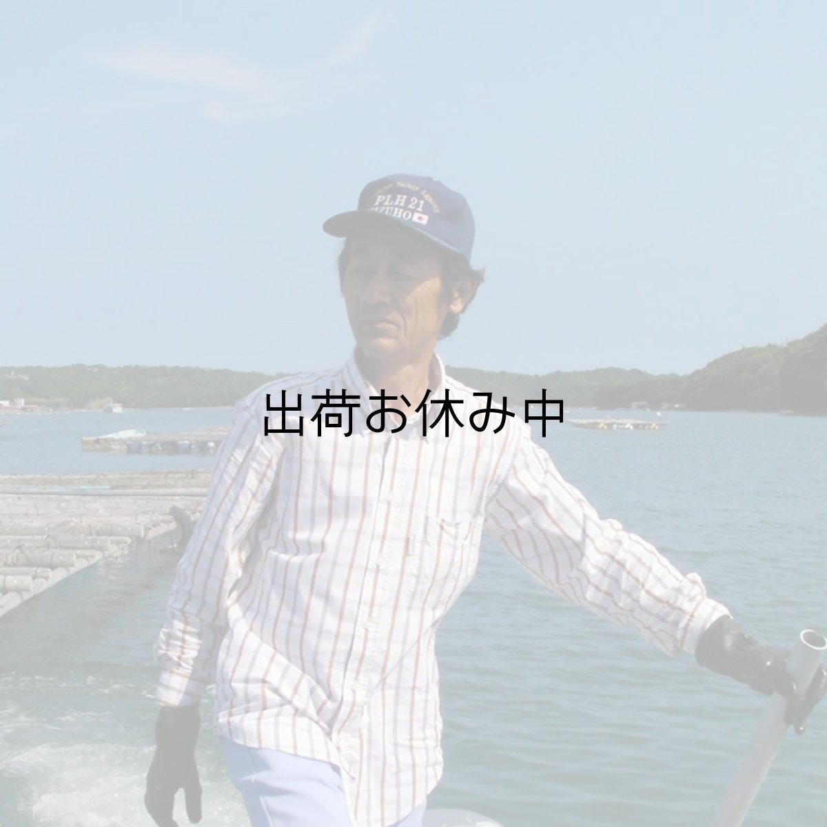 画像7: 三重的矢湾三ヶ所産　岩牡蠣 (7)