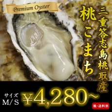 画像1: 【お急ぎ便】三重答志島桃取産　桃こまち　（お届け地域限定） (1)