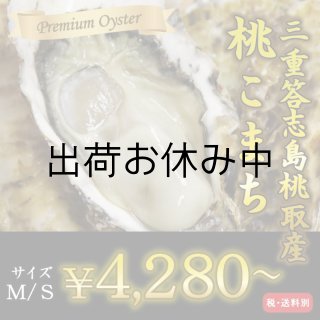 お急ぎ便】三重答志島桃取産 桃こまち （お届け地域限定）を産地直送 