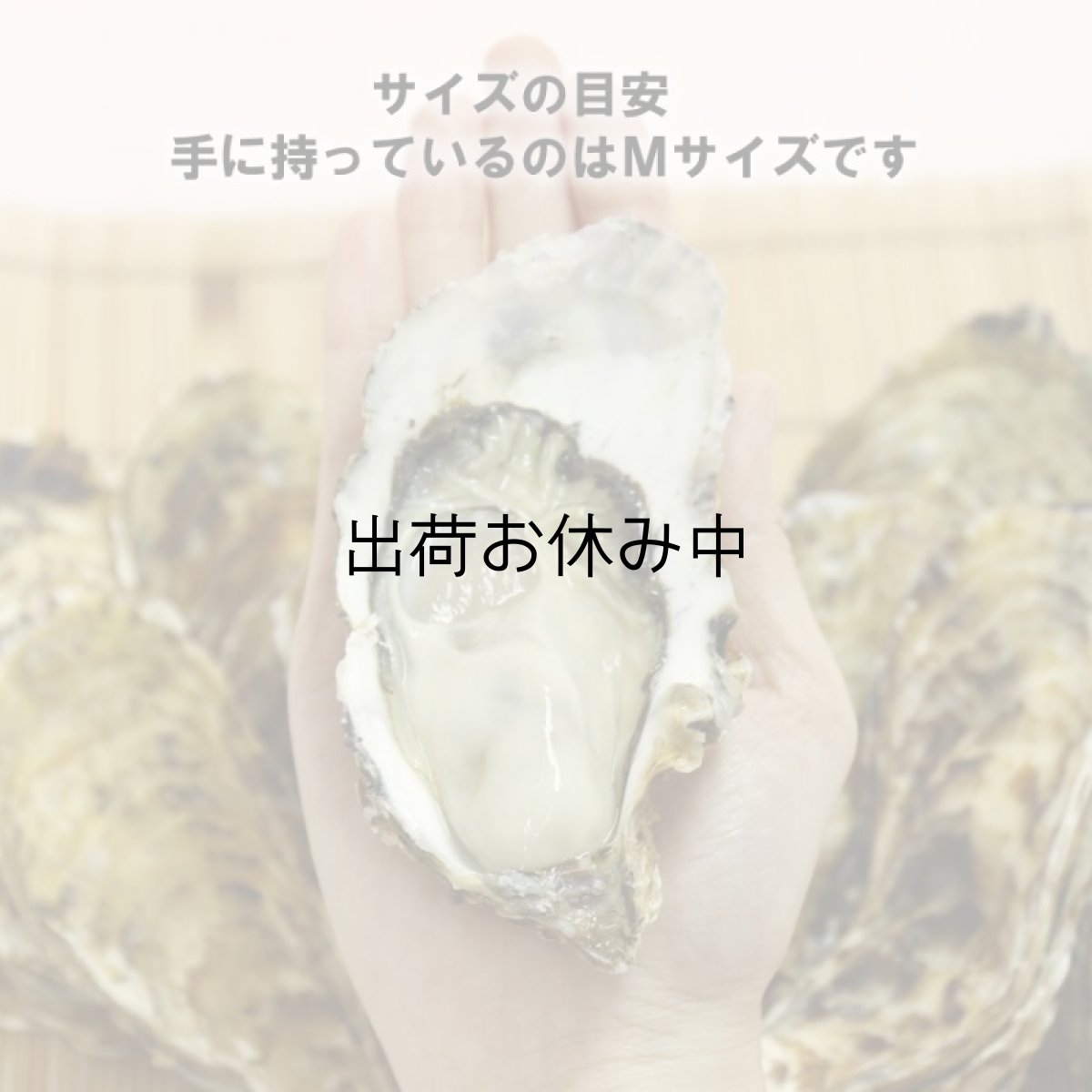 画像2: 【お急ぎ便】三重答志島桃取産 桃こまち (お届け地域限定) (2)