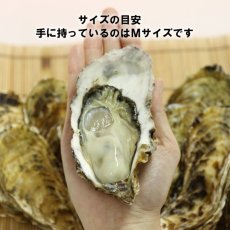 画像2: 【お急ぎ便】三重答志島桃取産　桃こまち　（お届け地域限定） (2)