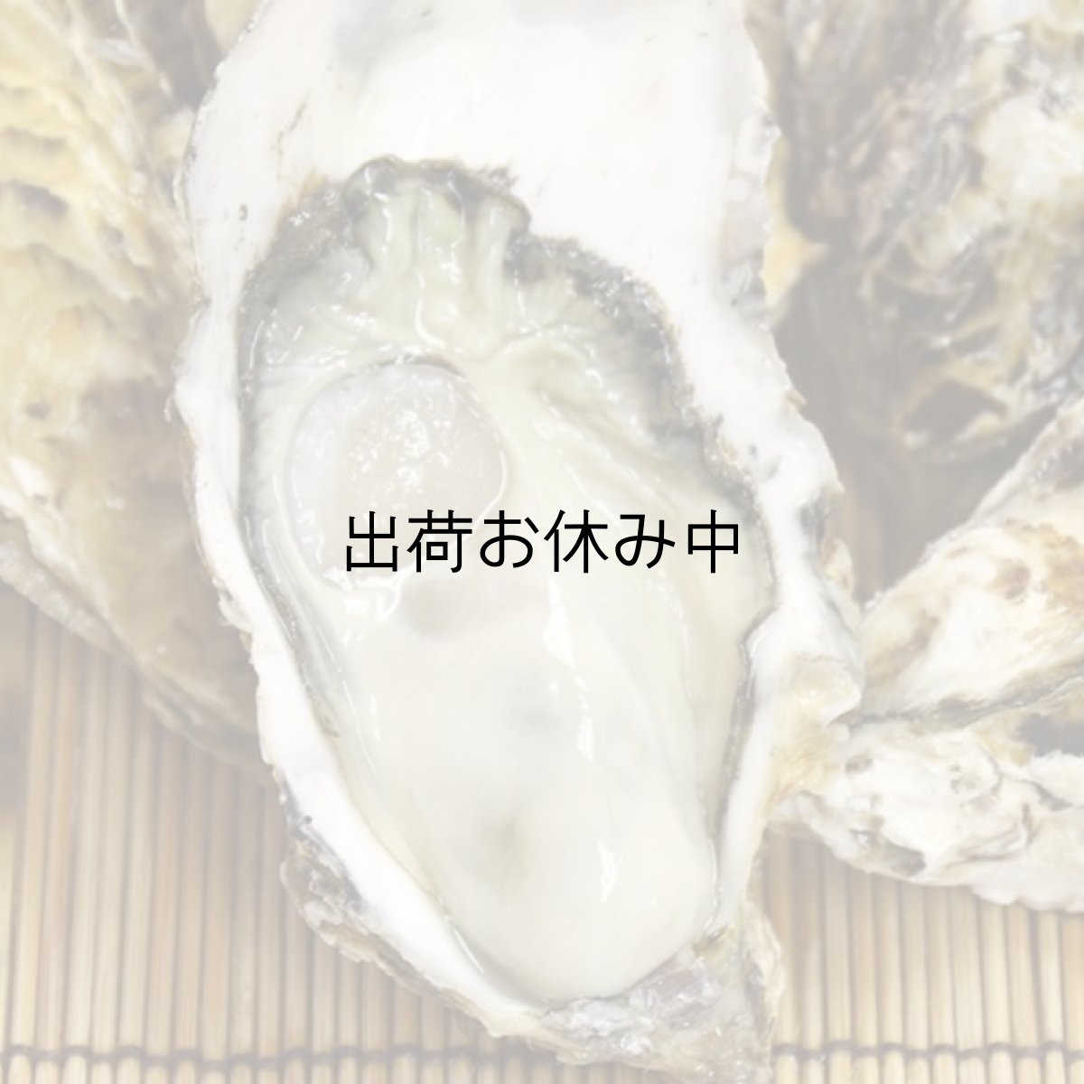 画像3: 【お急ぎ便】三重答志島桃取産 桃こまち (お届け地域限定) (3)
