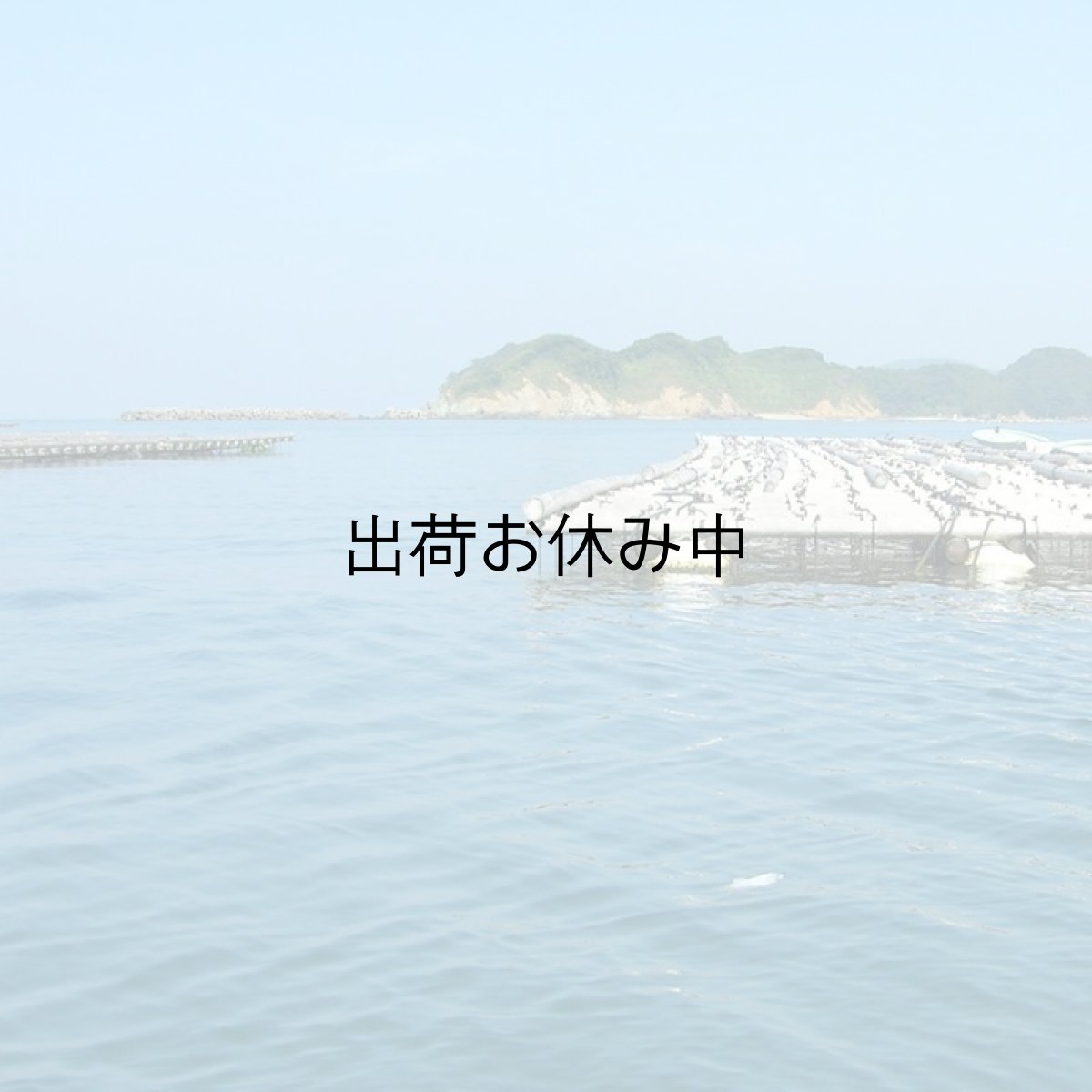 画像4: 【お急ぎ便】三重答志島桃取産 桃こまち (お届け地域限定) (4)