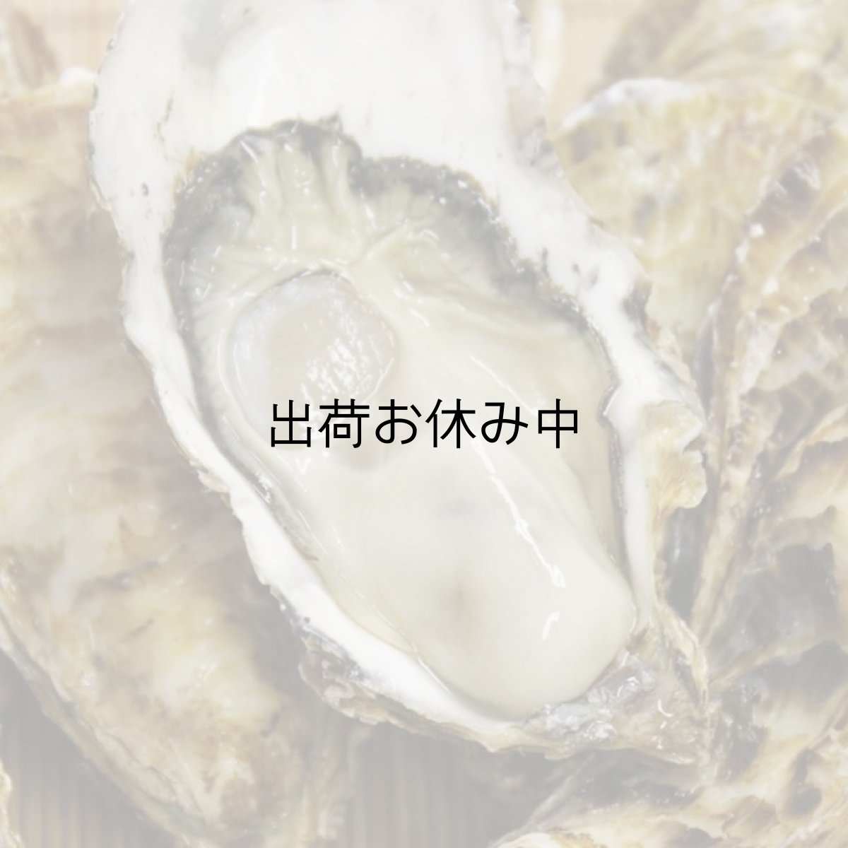 画像5: 【お急ぎ便】三重答志島桃取産 桃こまち (お届け地域限定) (5)