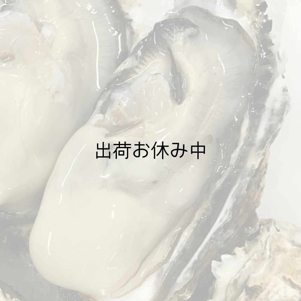 画像6: 【お急ぎ便】三重答志島桃取産 桃こまち (お届け地域限定) (6)