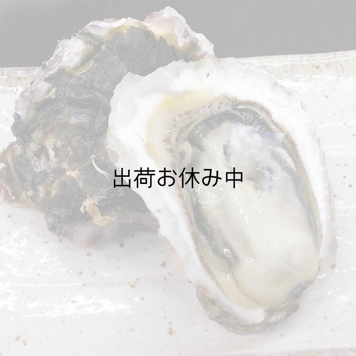 画像4: 三重答志島桃取産　岩牡蠣　輝（かがやき） (4)