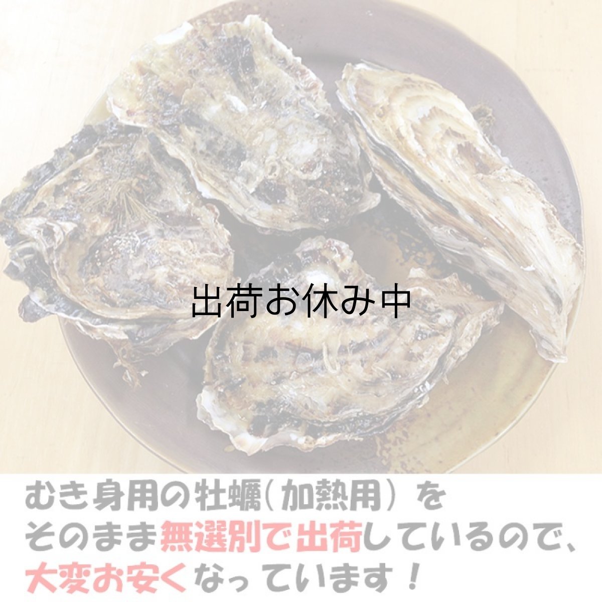 画像2: 【お急ぎ便】三重答志島桃取産 ふぞろい牡蠣　（お届け地域限定） (2)