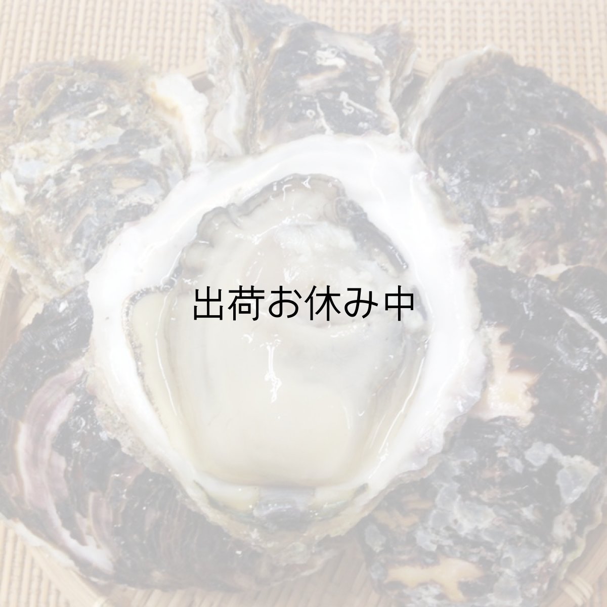 画像3: 宮崎日向灘産　天然岩牡蠣 （冷凍・生食用） (3)