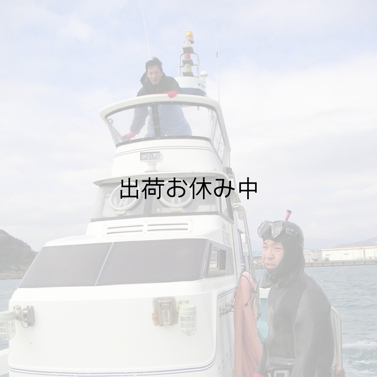 画像7: 宮崎日向灘産　天然岩牡蠣 （冷凍・生食用） (7)