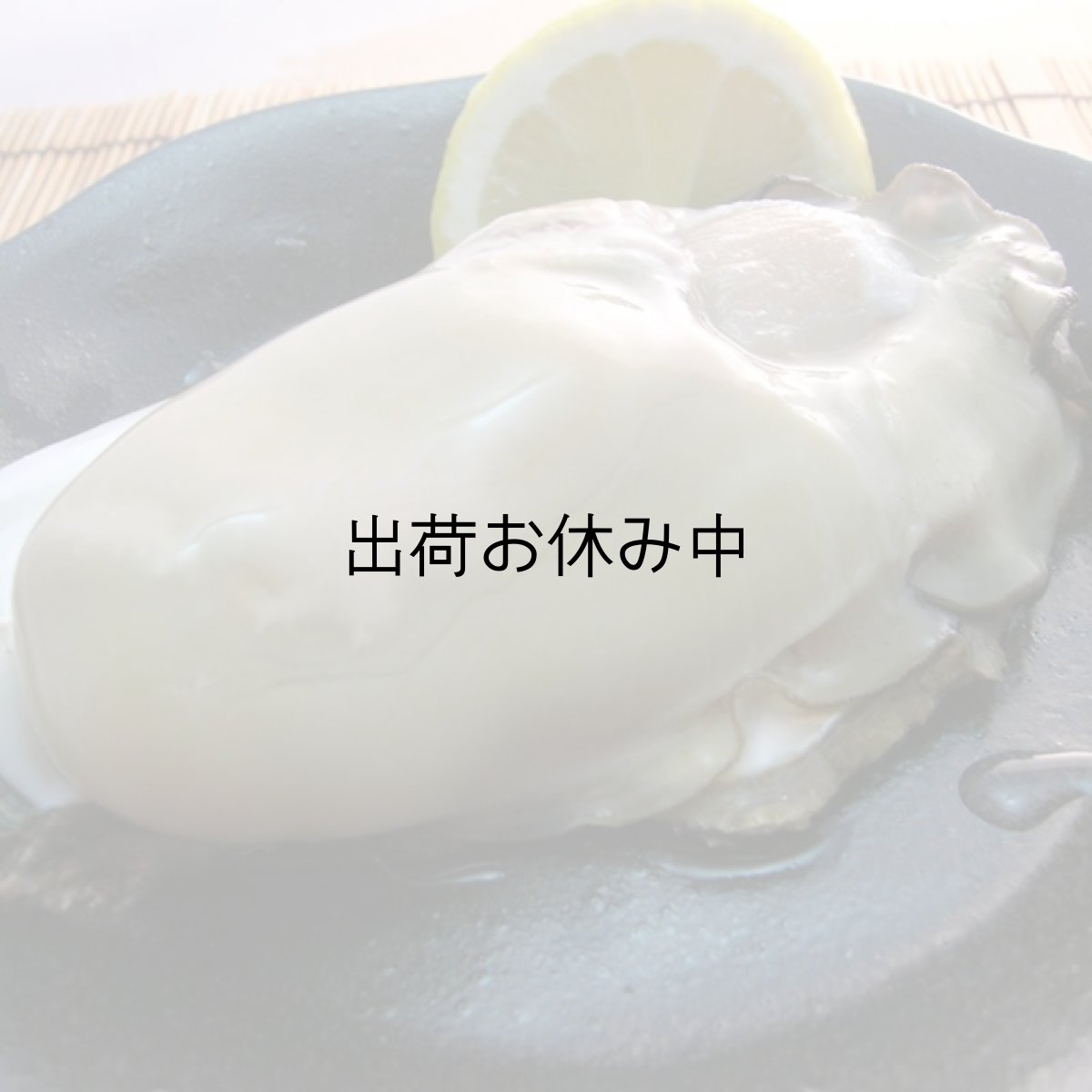 画像10: 石川能登産　天然岩牡蠣 (10)