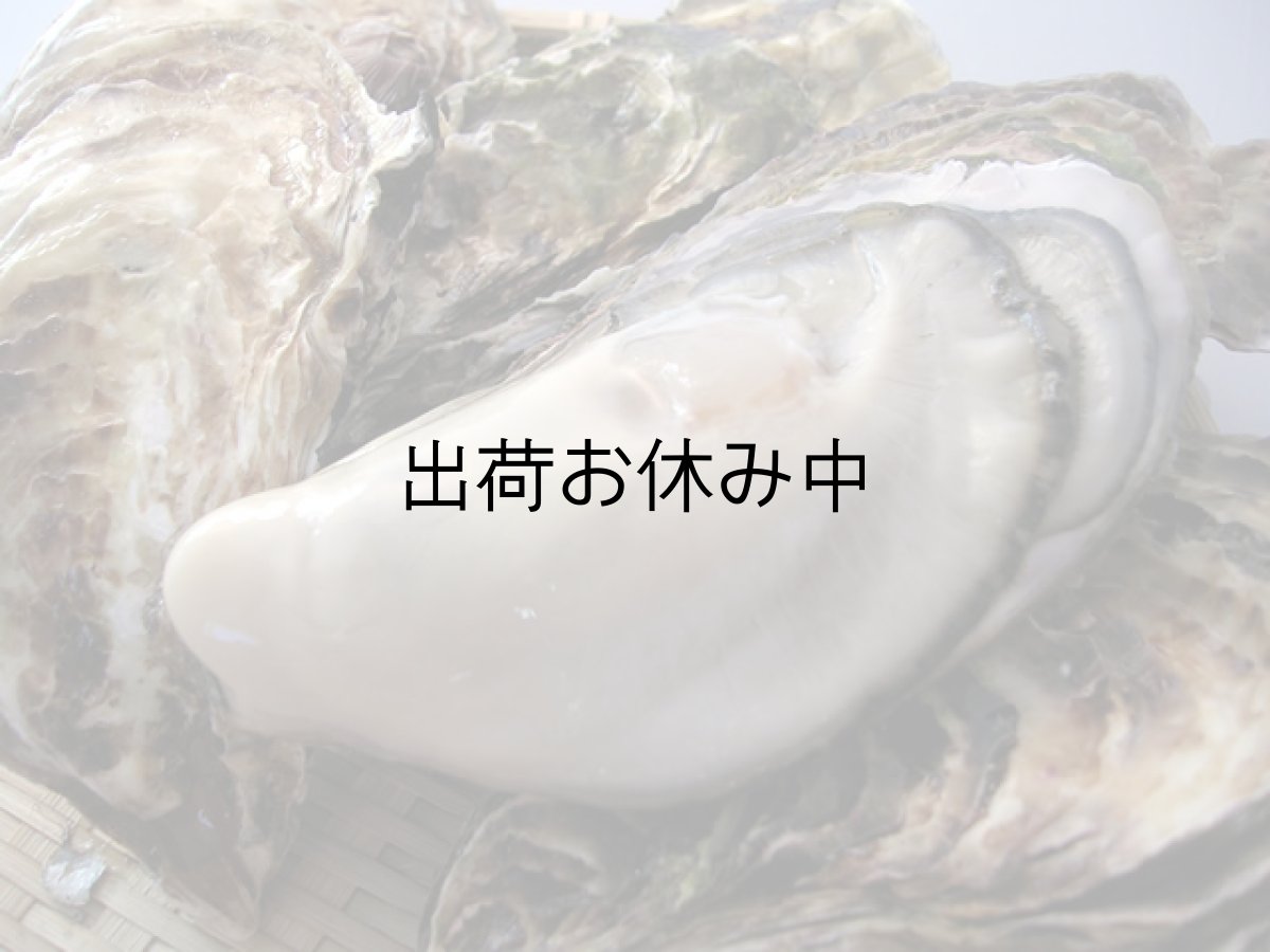 画像1: 石川能登産　殻付牡蠣 (1)